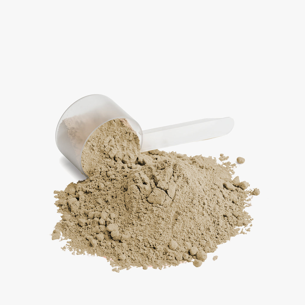 BigSouthStrength Plant-Based Protein Powder – Vanilla – Vegan Muscle Recovery