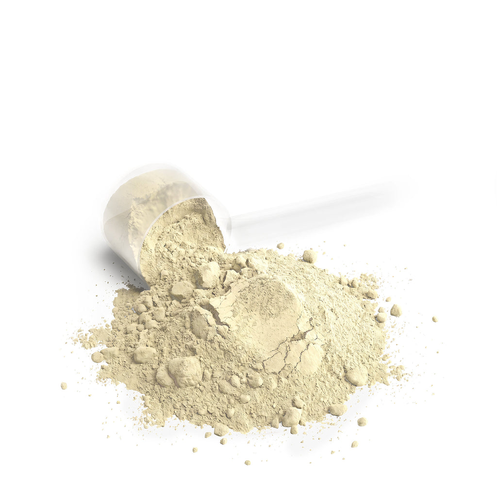 BigSouthStrength Whey Protein Powder – Vanilla – Muscle Growth & Recovery