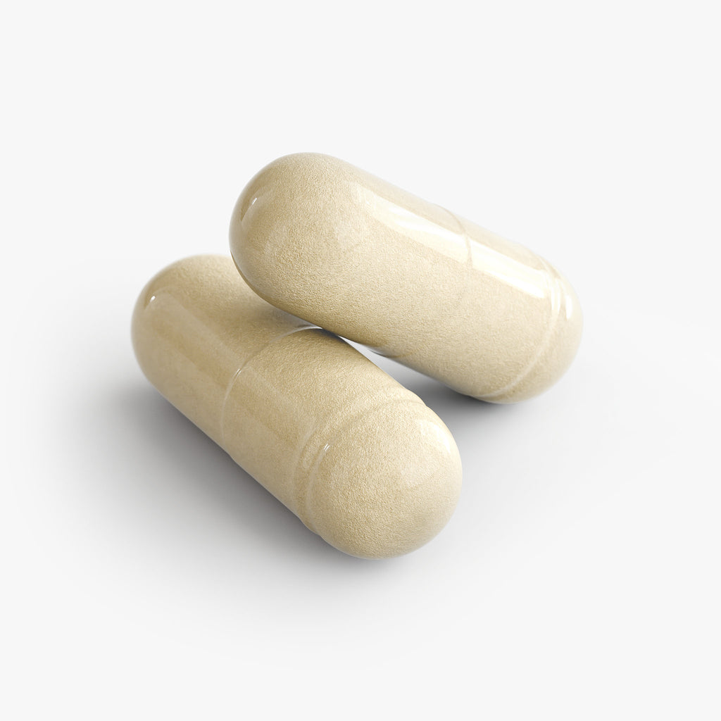 BigSouthStrength Gut Health Probiotic Supplement – Digestive Support & Immunity