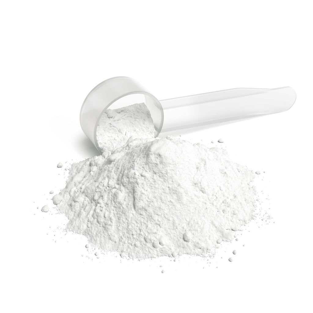 BigSouthStrength L-Glutamine Powder – Post-Workout Support & Digestive Health
