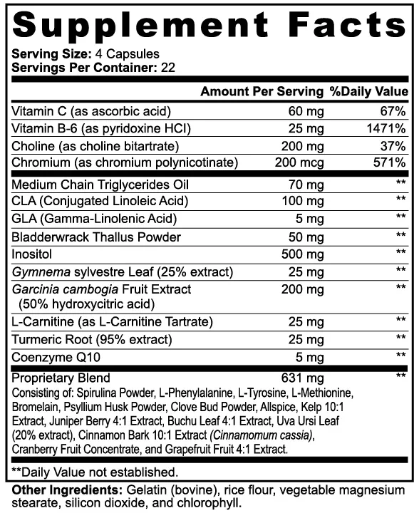 BigSouthStrength THERMOFORGE: Your Ultimate Thermogenic Formula for Metabolism & Daily Wellness