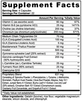 BigSouthStrength THERMOFORGE: Your Ultimate Thermogenic Formula for Metabolism & Daily Wellness